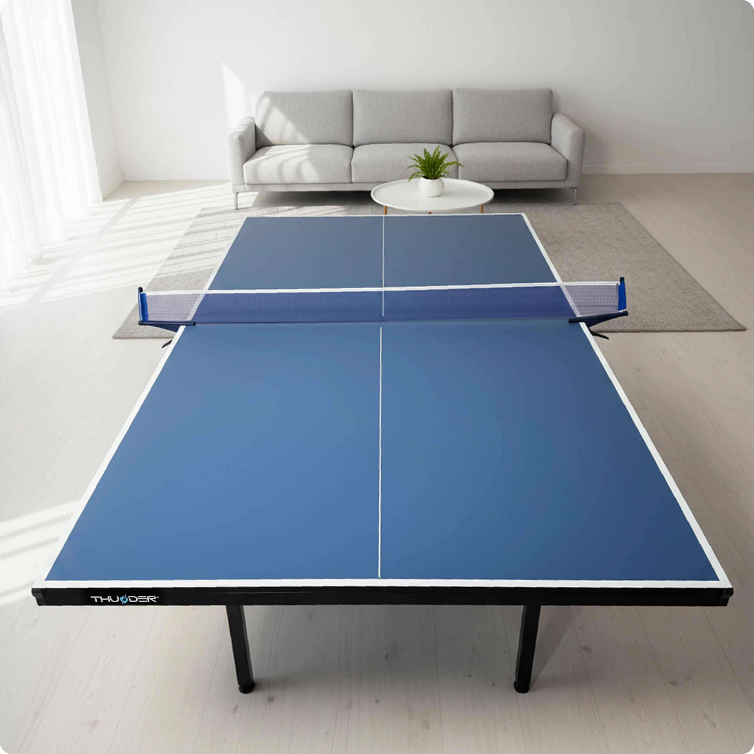 Conformitatea cu reglementările – THUNDER (duplicat)