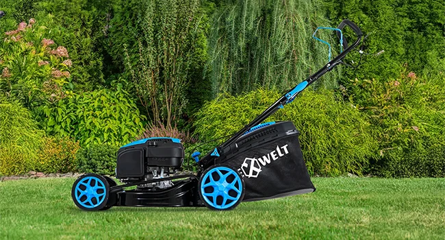 Gazonul perfect cu Hexwelt