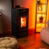 Sobă pe peleți KARMEN BLACK 10 kW 